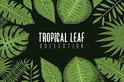 Tropical Leaf Collection