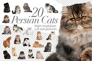 20 Persian Cats - Cut-out Pictures
