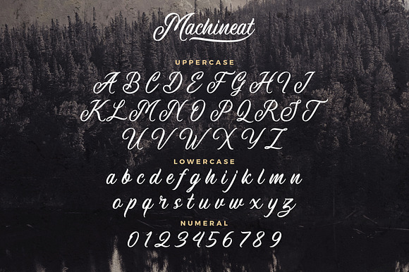 Machineat in Script Fonts - product preview 5
