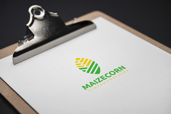 Maize Corn Logo in Logo Templates - product preview 2
