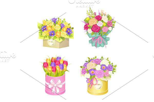 Bouquets in Box Collection Vector Illustration
