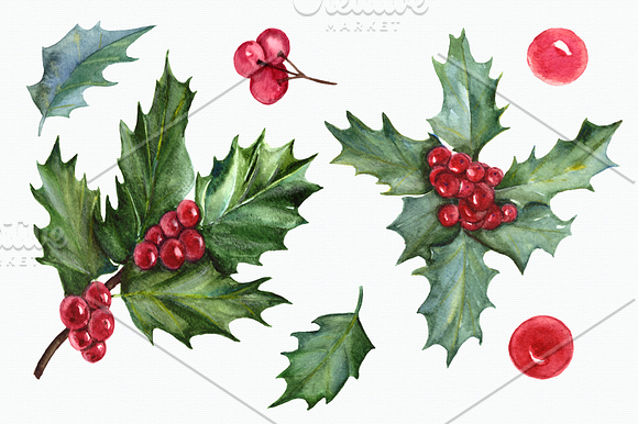 Watercolor Holly Clip Art Set in Illustrations - product preview 1