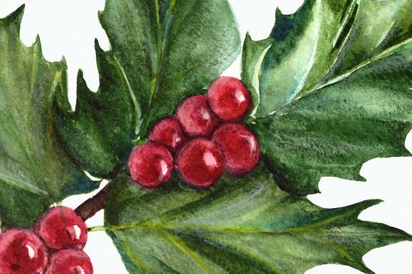 Watercolor Holly Clip Art Set in Illustrations - product preview 2