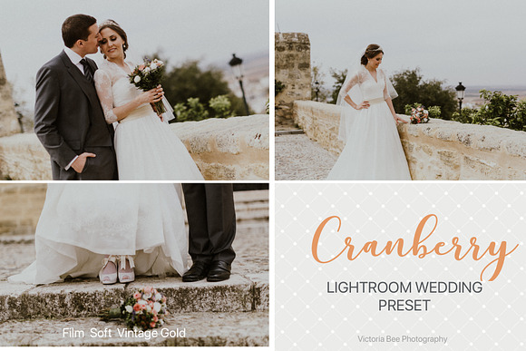 Desktop Lightroom Presets CRANBERRY in Add-Ons - product preview 10