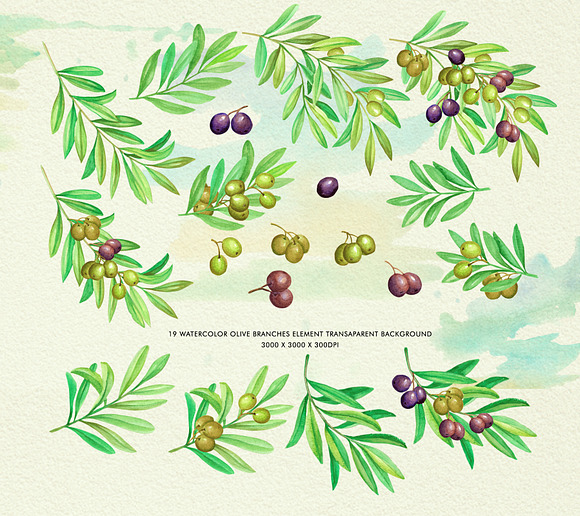 Olive Branch Watercolor Alphabets in Illustrations - product preview 1