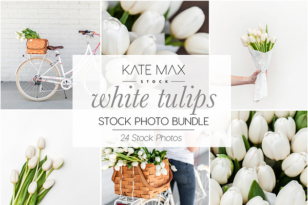 White Tulips Stock Photo Bundle