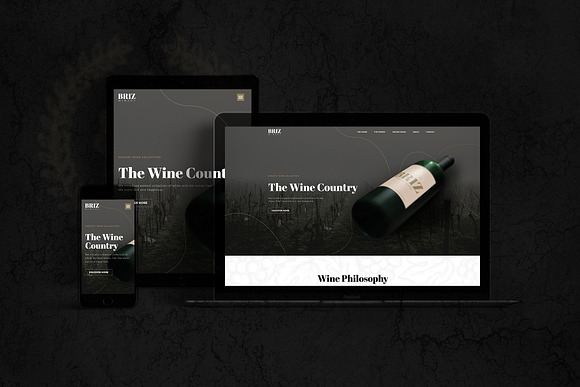 Wine Company - Elementor Pro Layout in Landing Page Templates - product preview 1