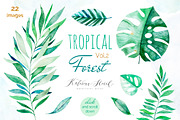 Tropical Forest Vol.2