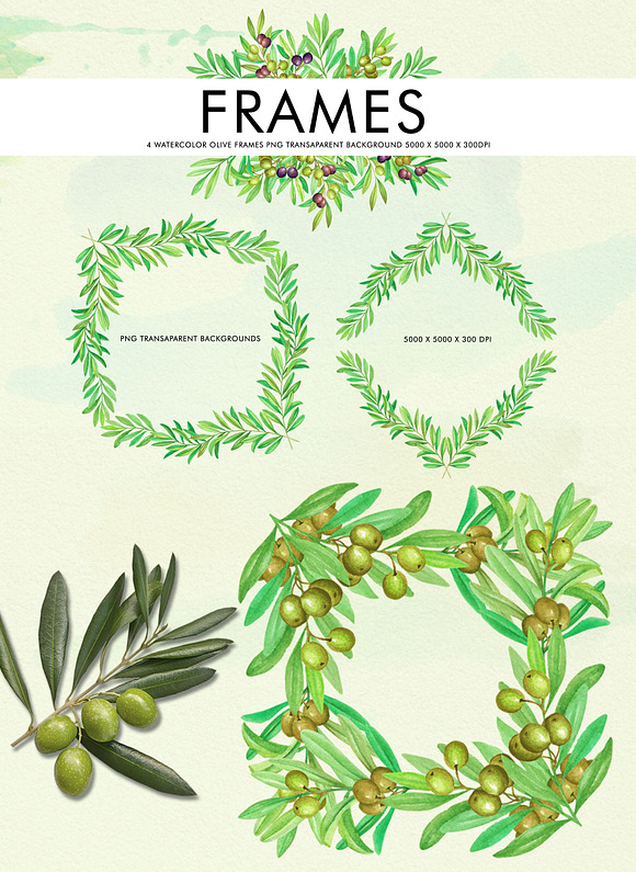 Olive Branch Watercolor Alphabets in Illustrations - product preview 7