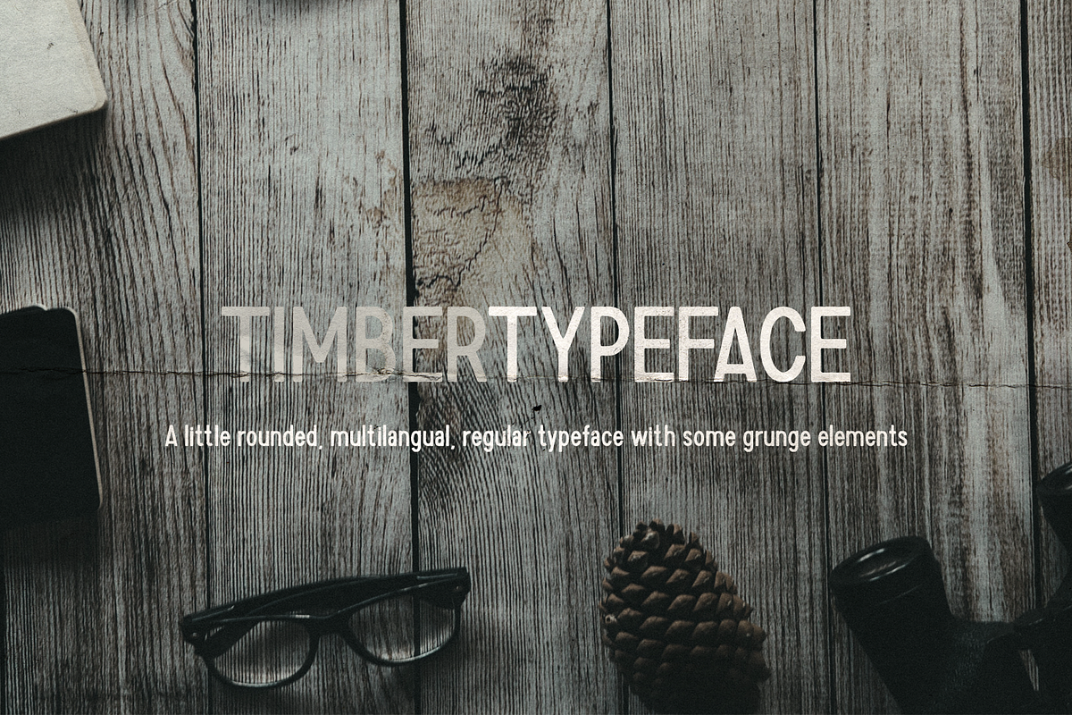 Timber  in Display Fonts - product preview 8
