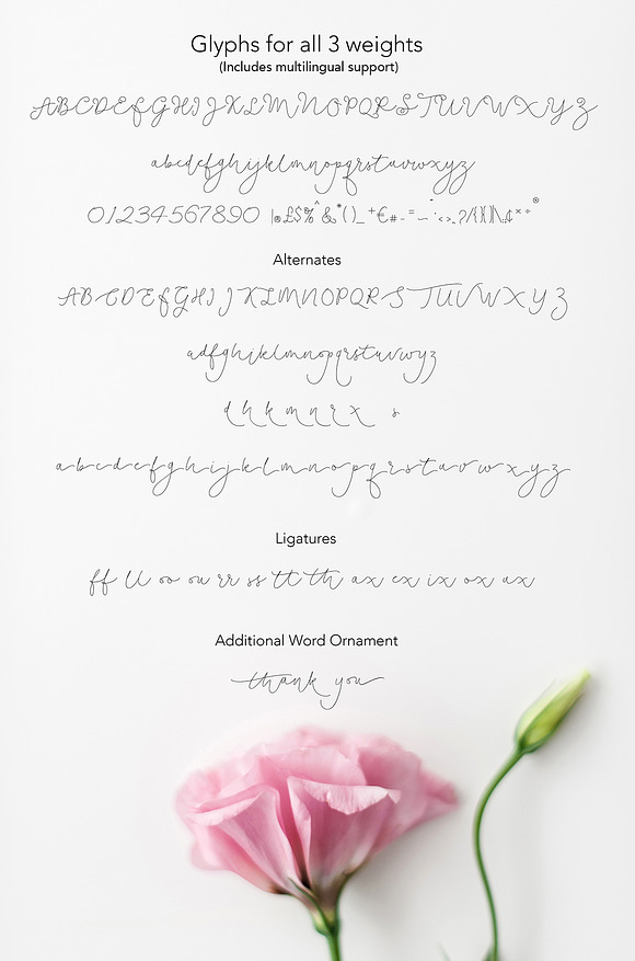Soft Whisperings Font and 100 Extras in Script Fonts - product preview 12
