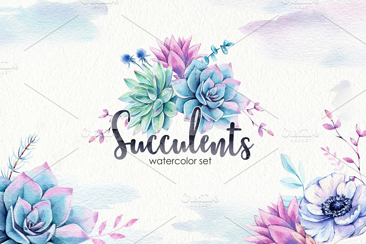 Succulents & Anemones Waterclor Set in Illustrations - product preview 8