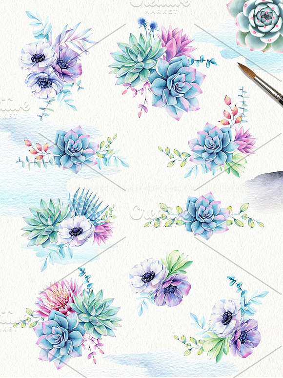 Succulents & Anemones Waterclor Set in Illustrations - product preview 1