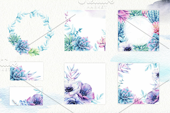Succulents & Anemones Waterclor Set in Illustrations - product preview 2