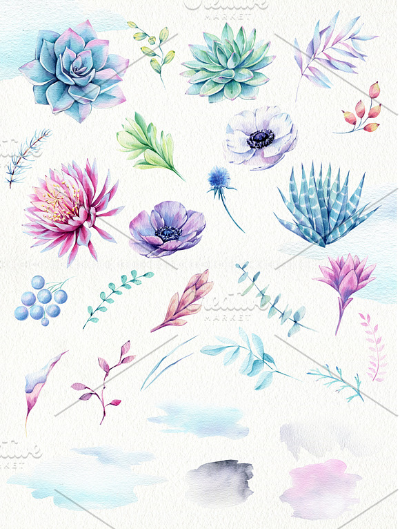 Succulents & Anemones Waterclor Set in Illustrations - product preview 3