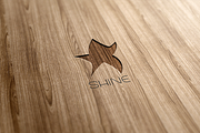 Shine Logo Design