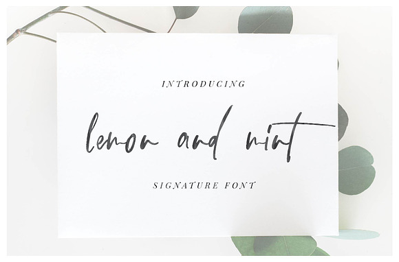 105 in 1 | Hand-Lettered Font Bundle in Handwriting Fonts - product preview 11