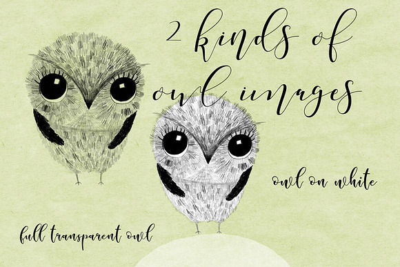 Cute Owl Set in Illustrations - product preview 3
