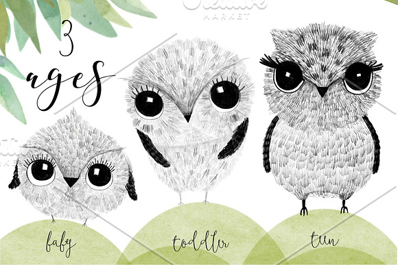 Cute Owl Set in Illustrations - product preview 5