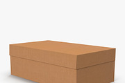 Cardboard Shoe Box Low-Poly