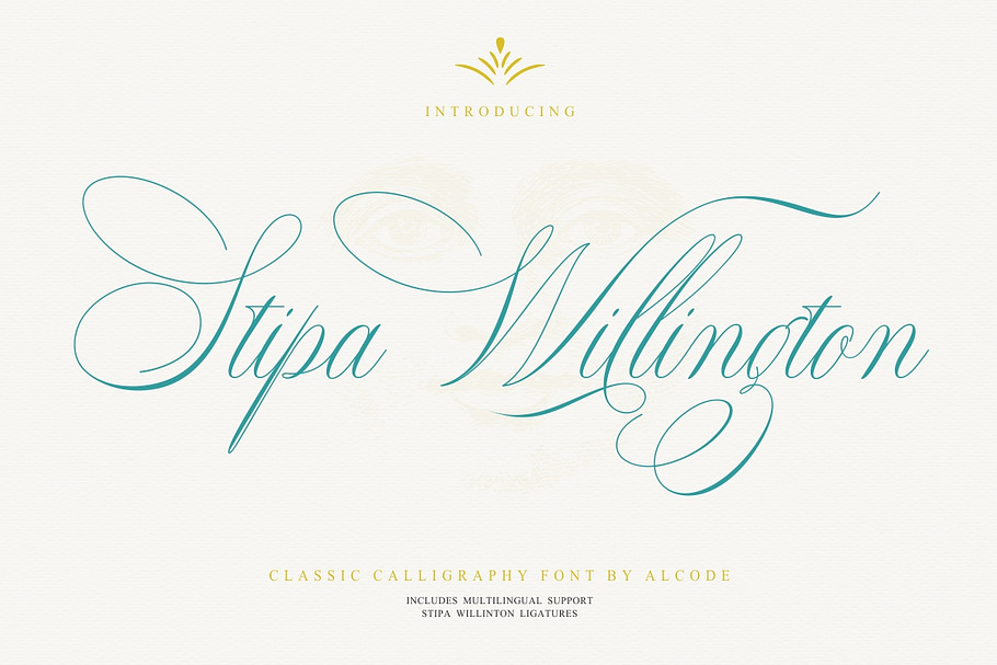 Stipa Willington in Script Fonts - product preview 8