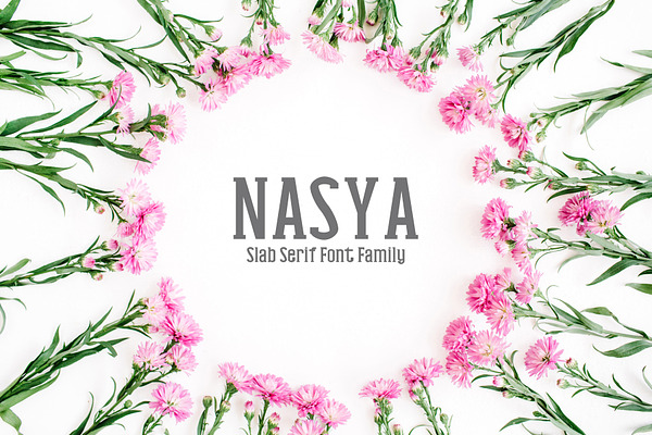 Nasya Slab Serif 4 Font Family Pack