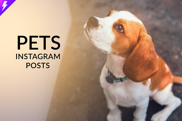 Pets Instagram Templates