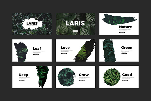 Laris Brush Powerpoint Templates in PowerPoint Templates - product preview 1