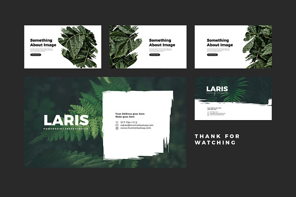 Laris Brush Powerpoint Templates in PowerPoint Templates - product preview 6