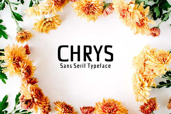 Chrys Sans Serif Font Family Pack
