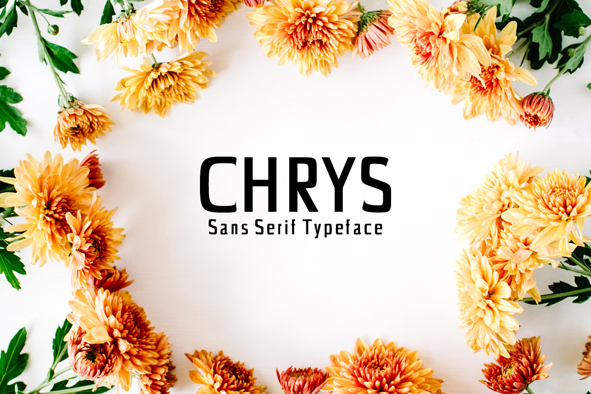 Chrys Sans Serif Font Family Pack in Sans-Serif Fonts - product preview 8