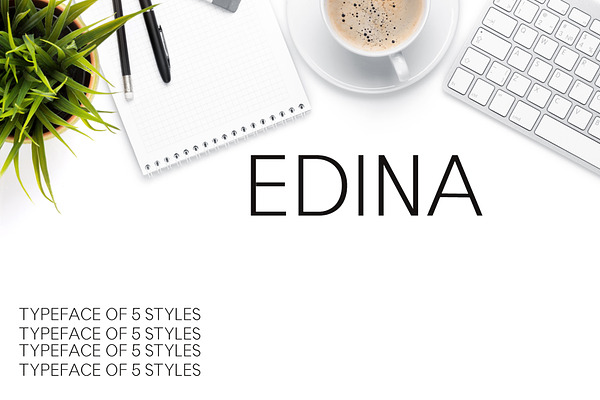 Edina Sans Serif Minimal Font Pack