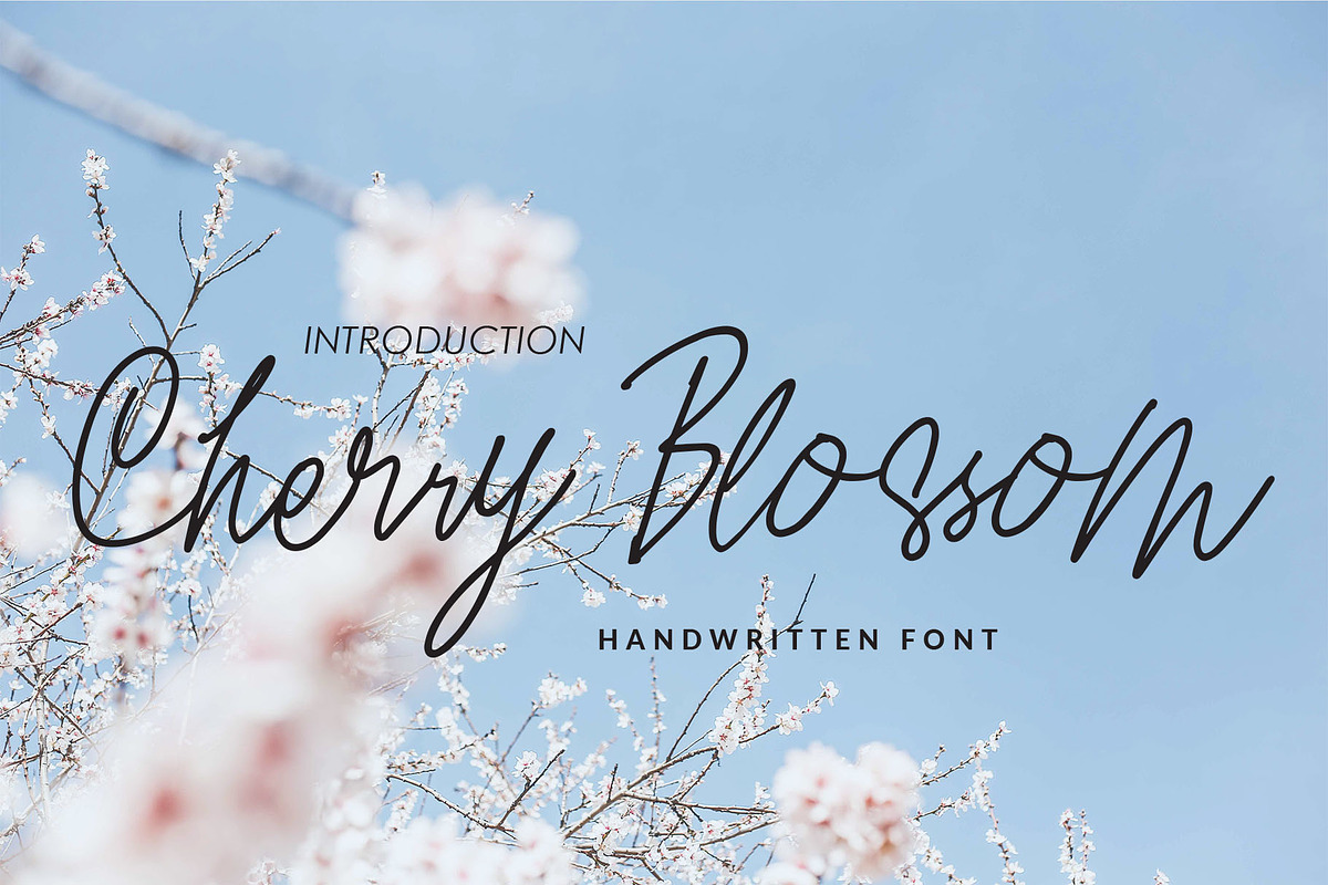 Cherry Blossom in Script Fonts - product preview 8
