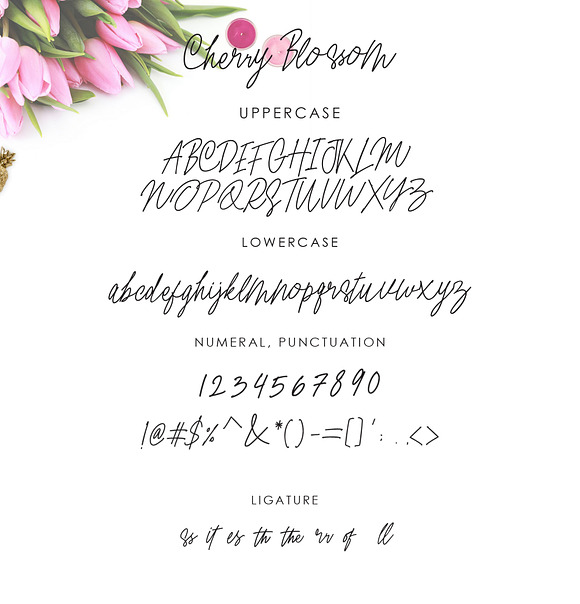 Cherry Blossom in Script Fonts - product preview 9