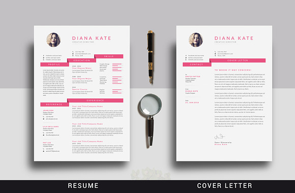 Professional Resume in Letter Templates - product preview 1