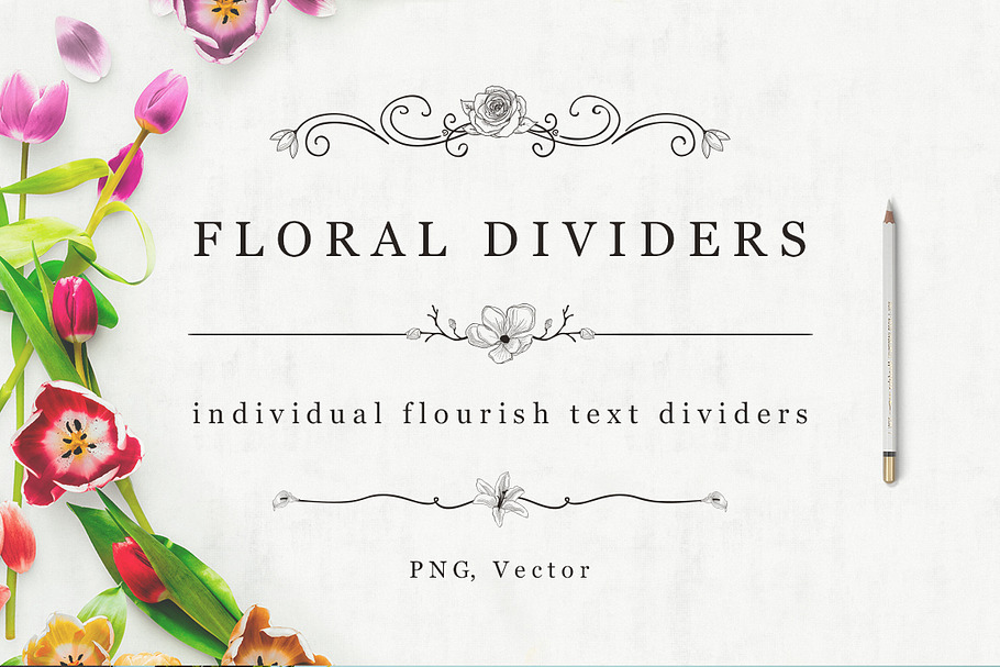 Flourish Text Dividers + Bonus in Objects - product preview 8