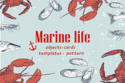 Marine life hand drawn elements