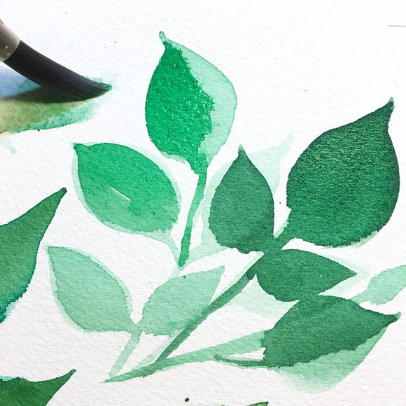 Watercolor Green Leaves Clip Art in Illustrations - product preview 1