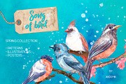 Song of bird. Watercolor clipart