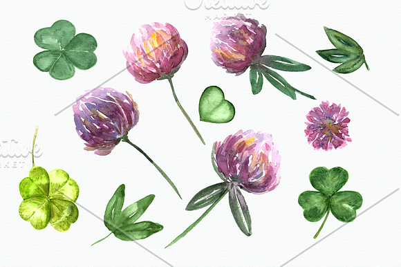 Watercolor Summer Clover Clip Art Se in Objects - product preview 1