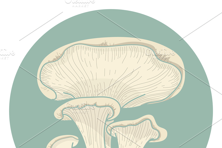 Illustration of mushroom in Illustrations - product preview 8