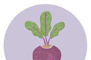 Illustration of a beet