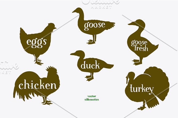 Farm Birds Vector collection in Illustrations - product preview 5