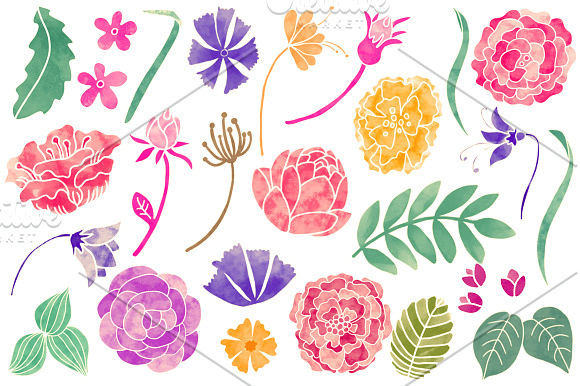 Floral Photoshop brushes in Photoshop Brushes - product preview 2