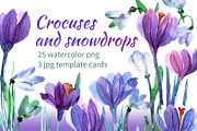  Watercolor crocuses and snowdrops