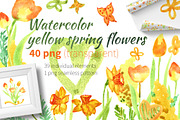  Watercolor yellow spring flowers