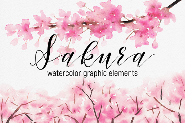Sakura – watercolor graphic elements