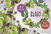 Sweetly blackberryJPG watercolor set