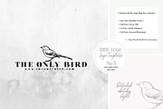 Bird Logo -Sketchy Artistic style 5