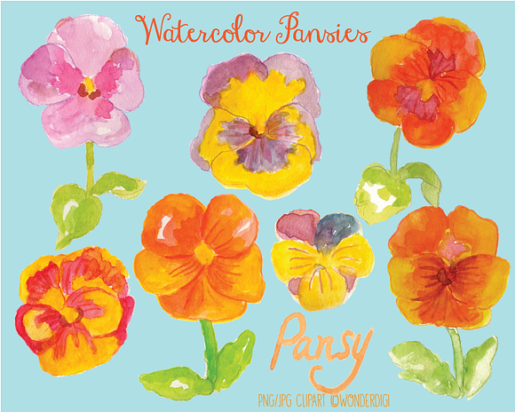 Watercolor Pansies in Illustrations - product preview 1